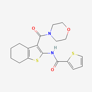 N-[3-(morpholin-4-ylcarbonyl)-4,5,6,7-tetrahydro-1-benzothiophen-2-yl]thiophene-2-carboxamide