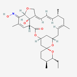 molecular formula C32H45NO7 B10814208 (1R,4S,5'S,6R,6'R,8R,10E,13R,14E,16E,20R,21E,24S)-6'-ethyl-24-hydroxy-21-hydroxyimino-5',11,13,22-tetramethylspiro[3,7,19-trioxatetracyclo[15.6.1.14,8.020,24]pentacosa-10,14,16,22-tetraene-6,2'-oxane]-2-one 