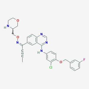 N-[3-chloro-4-[(3-fluorophenyl)methoxy]phenyl]-6-[(E)-N-[[(3R)-morpholin-3-yl]methoxy]-C-prop-1-ynylcarbonimidoyl]quinazolin-4-amine