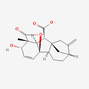 molecular formula C19H21O5- B10817234 (1R,2R,5R,8R,9S,10R,11R,12S)-12-hydroxy-11-methyl-6-methylidene-16-oxo-15-oxapentacyclo[9.3.2.15,8.01,10.02,8]heptadec-13-ene-9-carboxylate 