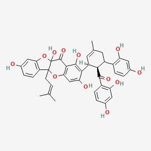 molecular formula C40H36O12 B10817331 2-[(1S,5S,6R)-6-(2,4-dihydroxybenzoyl)-5-(2,4-dihydroxyphenyl)-3-methyl-cyclohex-2-en-1-yl]-1,3,8,10a-tetrahydroxy-5a-(3-methylbut-2-enyl)benzofuro[3,2-b]chromen-11-one 