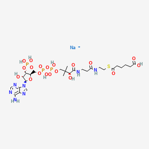 molecular formula C27H44N7NaO19P3S+ B10817481 Adipoyl Coenzyme A (sodium salt) 