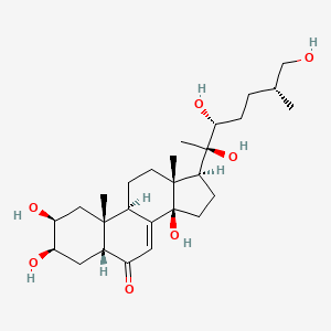 molecular formula C27H44O7 B10818172 (2S,3R,5R,9R,10R,13R,14R,17S)-2,3,14-trihydroxy-10,13-dimethyl-17-[(2R,3R,6R)-2,3,7-trihydroxy-6-methylheptan-2-yl]-2,3,4,5,9,11,12,15,16,17-decahydro-1H-cyclopenta[a]phenanthren-6-one 