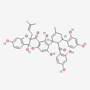 molecular formula C40H36O12 B10818359 2-[(1S,5R)-6-(2,4-Dihydroxybenzoyl)-5-(2,4-dihydroxyphenyl)-3-methylcyclohex-2-en-1-yl]-1,3,5a,8-tetrahydroxy-10a-(3-methylbut-2-enyl)-[1]benzofuro[3,2-b]chromen-11-one 