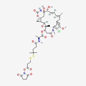 DM4-Spdp