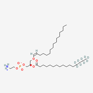 1-1(Z)-Hexadecenyl-2-Palmitoyl-d9-sn-glycero-3-PE