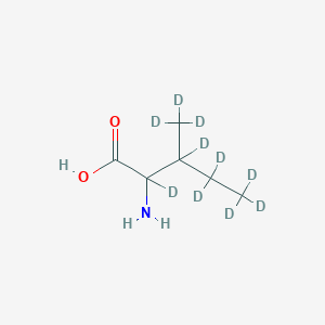 molecular formula C6H13NO2 B10823265 Isoleucine-d10 (mixture of diastereomers) 