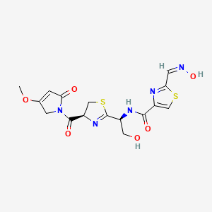 molecular formula C16H17N5O6S2 B10823595 2-[(Z)-hydroxyiminomethyl]-N-[(1S)-2-hydroxy-1-[(4S)-4-(3-methoxy-5-oxo-2H-pyrrole-1-carbonyl)-4,5-dihydro-1,3-thiazol-2-yl]ethyl]-1,3-thiazole-4-carboxamide 