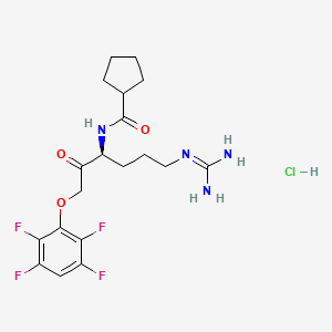 molecular formula C19H25ClF4N4O3 B10824587 Kgp-IN-1 hydrochloride 