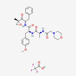 molecular formula C33H41F3N4O9 B10824678 (2S)-3-(4-methoxyphenyl)-N-[(2S)-1-[(2R)-2-methyloxiran-2-yl]-1-oxo-3-phenylpropan-2-yl]-2-[[(2S)-2-[(2-morpholin-4-ylacetyl)amino]propanoyl]amino]propanamide;2,2,2-trifluoroacetic acid 