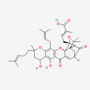 molecular formula C38H46O9 B10825426 4-[(1S,2R,17R,19S)-10,12-dihydroxy-8,21,21-trimethyl-5-(3-methylbut-2-enyl)-8-(4-methylpent-3-enyl)-14,18-dioxo-3,7,20-trioxahexacyclo[15.4.1.02,15.02,19.04,13.06,11]docosa-4(13),5,11,15-tetraen-19-yl]-2-methylbut-2-enoic acid 