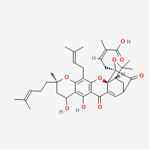 molecular formula C38H46O9 B10825463 (Z)-4-[(1S,2S,8R,19R)-10,12-dihydroxy-8,21,21-trimethyl-5-(3-methylbut-2-enyl)-8-(4-methylpent-3-enyl)-14,18-dioxo-3,7,20-trioxahexacyclo[15.4.1.02,15.02,19.04,13.06,11]docosa-4(13),5,11,15-tetraen-19-yl]-2-methylbut-2-enoic acid 