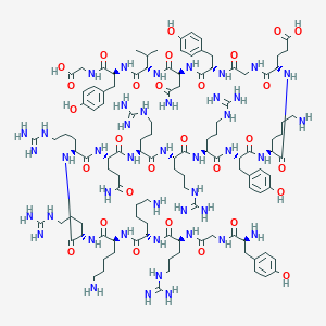 molecular formula C115H185N43O29 B10825510 TAT-GluA2 3Y 