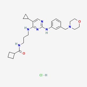 N-[3-[[5-cyclopropyl-2-[3-(morpholin-4-ylmethyl)anilino]pyrimidin-4-yl]amino]propyl]cyclobutanecarboxamide;hydrochloride