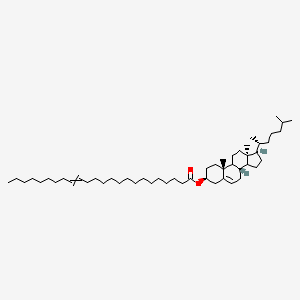 molecular formula C51H90O2 B10827718 (Z)-((3S,8S,10R,13R,17R)-10,13-dimethyl-17-((R)-6-methylheptan-2-yl)-2,3,4,7,8,9,10,11,12,13,14,15,16,17-tetradecahydro-1H-cyclopenta[a]phenanthren-3-yl) tetracos-15-enoate 