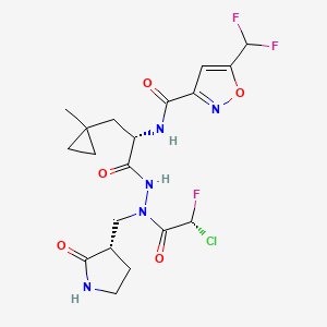 N-[(2S)-1-[2-[(2R)-2-chloro-2-fluoroacetyl]-2-[[(3S)-2-oxopyrrolidin-3-yl]methyl]hydrazinyl]-3-(1-methylcyclopropyl)-1-oxopropan-2-yl]-5-(difluoromethyl)-1,2-oxazole-3-carboxamide