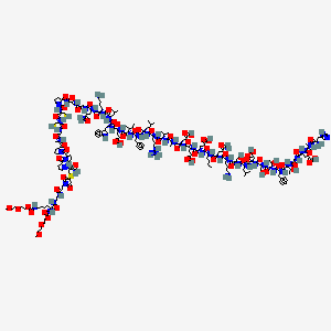 molecular formula C215H336N56O69S3 B10828758 (4S)-5-[[2-[[(2S,3R)-1-[[(2S)-1-[[(2S,3R)-1-[[(2S)-1-[[(2S)-1-[[(2S)-1-[[(2S)-1-[[(2S)-6-amino-1-[[(2S)-5-amino-1-[[(2S)-1-[[(2S)-1-[[1-[[(2S)-1-[[(2S)-1-[[(2S)-1-[[(2S)-1-[[(2S)-1-[[(2S)-1-[[(2S)-1-[[(2S)-1-[[(2S)-1-[[(2S)-1-[[(2S)-6-amino-1-[[(2S)-5-amino-1-[[2-[[2-[[1-[[(2S)-1-[[(2S)-1-[[2-[[(2S)-1-[1-[1-[1-[[1-amino-3-[1-[3-[2-[2,6-bis[2-(2-methoxyethoxy)ethoxycarbonylamino]hexanoylamino]ethylamino]-3-oxopropyl]-2,5-dioxopyrrolidin-3-yl]sulfanyl-1-oxopropan-2-yl]amino]pyrrolidine-2-carbonyl]pyrrolidine-2-carbonyl]pyrrolidin-2-yl]-1-oxopropan-2-yl]amino]-2-oxoethyl]amino]-1-oxo-3-sulfanylpropan-2-yl]amino]-1-oxo-3-sulfanylpropan-2-yl]carbamoyl]pyrrolidine-2-carbonyl]amino]-2-oxoethyl]amino]-2-oxoethyl]amino]-1,5-dioxopentan-2-yl]amino]-1-oxohexan-2-yl]amino]-4-methyl-1-oxopentan-2-yl]amino]-3-(1H-indol-3-yl)-1-oxopropan-2-yl]amino]-4-carboxy-1-oxobutan-2-yl]amino]-3-methyl-1-oxopentan-2-yl]amino]-1-oxo-3-phenylpropan-2-yl]amino]-5-methyl-1-oxohexan-2-yl]amino]-5-carbamimidamido-1-oxopentan-2-yl]amino]-3-methyl-1-oxobutan-2-yl]amino]-1-oxopropan-2-yl]amino]-4-carboxy-1-oxobutan-2-yl]amino]-4-carboxy-1-oxobutan-2-yl]amino]-4-carboxy-1-oxobutan-2-yl]amino]-1-oxohexan-2-yl]amino]-1,5-dioxopentan-2-yl]amino]-1-oxohexan-2-yl]amino]-3-hydroxy-1-oxopropan-2-yl]amino]-4-methyl-1-oxopentan-2-yl]amino]-3-carboxy-1-oxopropan-2-yl]amino]-3-hydroxy-1-oxopropan-2-yl]amino]-3-hydroxy-1-oxobutan-2-yl]amino]-1-oxo-3-phenylpropan-2-yl]amino]-3-hydroxy-1-oxobutan-2-yl]amino]-2-oxoethyl]amino]-4-[[(2R)-2-[[(2S)-2-amino-3-(1H-imidazol-5-yl)propanoyl]amino]propanoyl]amino]-5-oxopentanoic acid 