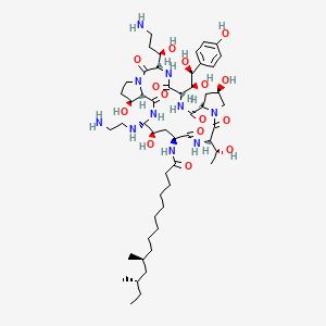 molecular formula C52H88N10O15 B10828882 (10S,12S)-N-[(3S,6S,9S,11R,15S,18S,20R,21R,24S,25S)-21-(2-aminoethylamino)-3-[(1R)-3-amino-1-hydroxypropyl]-6-[(1S,2S)-1,2-dihydroxy-2-(4-hydroxyphenyl)ethyl]-11,20,25-trihydroxy-15-[(1R)-1-hydroxyethyl]-2,5,8,14,17,23-hexaoxo-1,4,7,13,16,22-hexazatricyclo[22.3.0.09,13]heptacosan-18-yl]-10,12-dimethyltetradecanamide 