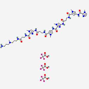 molecular formula C49H63F9N18O14 B10829295 N-[3-[3-[3-aminopropyl(methyl)amino]propylamino]-3-oxopropyl]-1-methyl-4-[3-[[1-methyl-4-[[1-methyl-4-[3-[[1-methyl-4-[(1-methylimidazole-2-carbonyl)amino]pyrrole-2-carbonyl]amino]propanoylamino]imidazole-2-carbonyl]amino]pyrrole-2-carbonyl]amino]propanoylamino]imidazole-2-carboxamide;2,2,2-trifluoroacetic acid 