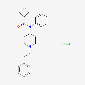 Cyclobutyl fentanyl hydrochloride