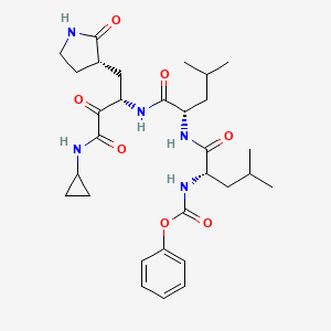 phenyl N-[(2S)-1-[[(2S)-1-[[(2S)-4-(cyclopropylamino)-3,4-dioxo-1-[(3S)-2-oxopyrrolidin-3-yl]butan-2-yl]amino]-4-methyl-1-oxopentan-2-yl]amino]-4-methyl-1-oxopentan-2-yl]carbamate