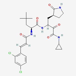 (2S)-N-[4-(cyclopropylamino)-3,4-dioxo-1-[(3S)-2-oxopyrrolidin-3-yl]butan-2-yl]-2-[[(E)-3-(2,4-dichlorophenyl)prop-2-enoyl]amino]-4,4-dimethylpentanamide