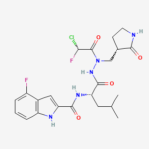 3CLpro inhibitor YH-6