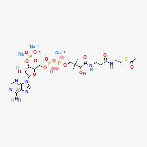 Acetyl-CoA (trisodium)