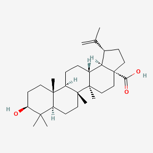 molecular formula C30H48O3 B10831669 (1R,3aR,5aR,5bR,7aR,9S,11aR,11bR,13aR,13bR)-9-hydroxy-5a,5b,8,8,11a-pentamethyl-1-prop-1-en-2-yl-1,2,3,4,5,6,7,7a,9,10,11,11b,12,13,13a,13b-hexadecahydrocyclopenta[a]chrysene-3a-carboxylic acid 