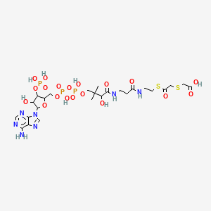 2-[2-[2-[3-[[4-[[[5-(6-Aminopurin-9-yl)-4-hydroxy-3-phosphonooxyoxolan-2-yl]methoxy-hydroxyphosphoryl]oxy-hydroxyphosphoryl]oxy-2-hydroxy-3,3-dimethylbutanoyl]amino]propanoylamino]ethylsulfanyl]-2-oxoethyl]sulfanylacetic acid