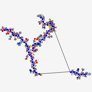 molecular formula C258H384N64O78S6 B10832250 (4S)-4-[[2-[[[(1R,6R,12S,15S,18S,21S,24S,27S,30S,33S,36S,39S,42R,47R,50S,53S,56S,59S,62S,65S,68S,71S,74R,77S,80S,83S,88R)-6-[[(2S)-2-[[(2S)-2-[[(2S)-2-[[(2S)-6-amino-2-[[(2S)-2-[[(2S)-2-amino-1-hydroxy-3-phenylpropylidene]amino]-1-hydroxy-3-methylbutylidene]amino]-1-hydroxyhexylidene]amino]-1,5-dihydroxy-5-iminopentylidene]amino]-1-hydroxy-3-(1H-imidazol-5-yl)propylidene]amino]-1-hydroxy-4-methylpentylidene]amino]-88-[[(2S)-2-[[(2S)-2-[[(2S)-2-[[(2S,3S)-2-[(2-amino-1-hydroxyethylidene)amino]-1-hydroxy-3-methylpentylidene]amino]-1-hydroxy-3-methylbutylidene]amino]-4-carboxy-1-hydroxybutylidene]amino]-1,5-dihydroxy-5-iminopentylidene]amino]-77-[(2S)-butan-2-yl]-24,56-bis(2-carboxyethyl)-47-[N-[(1S)-1-carboxy-3-hydroxy-3-iminopropyl]-C-hydroxycarbonimidoyl]-7,10,13,16,19,22,25,28,31,34,37,40,49,52,55,58,61,64,67,70,73,76,79,82,85,87-hexacosahydroxy-83-[(1R)-1-hydroxyethyl]-53-(2-hydroxy-2-iminoethyl)-62-(3-hydroxy-3-iminopropyl)-12,71,80-tris(hydroxymethyl)-33,50,65-tris[(4-hydroxyphenyl)methyl]-15-(1H-imidazol-5-ylmethyl)-27-methyl-18,30,36,59,68-pentakis(2-methylpropyl)-21,39-di(propan-2-yl)-3,4,44,45,90,91-hexathia-8,11,14,17,20,23,26,29,32,35,38,41,48,51,54,57,60,63,66,69,72,75,78,81,84,86-hexacosazabicyclo[72.11.7]dononaconta-7,10,13,16,19,22,25,28,31,34,37,40,48,51,54,57,60,63,66,69,72,75,78,81,84,86-hexacosaen-42-yl]-hydroxymethylidene]amino]-1-hydroxyethylidene]amino]-5-[(2S)-5-carbamimidamido-1-[2-[(2S)-1-[(2S)-1-[(2S)-1-[(2S,3R)-1-[(2S)-2-[N-[(2S)-4-carboxy-1-[(1S,2R)-1-carboxy-2-hydroxypropyl]imino-1-hydroxybutan-2-yl]-C-hydroxycarbonimidoyl]pyrrolidin-1-yl]-3-hydroxy-1-oxobutan-2-yl]imino-1-hydroxy-3-(4-hydroxyphenyl)propan-2-yl]imino-1-hydroxy-3-phenylpropan-2-yl]imino-1-hydroxy-3-phenylpropan-2-yl]imino-2-hydroxyethyl]imino-1-hydroxypentan-2-yl]imino-5-hydroxypentanoic acid 