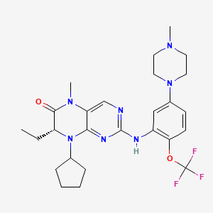 molecular formula C26H34F3N7O2 B10836682 (7R)-8-cyclopentyl-7-ethyl-5-methyl-2-[5-(4-methylpiperazin-1-yl)-2-(trifluoromethoxy)anilino]-7H-pteridin-6-one 