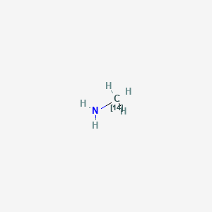 molecular formula CH5N B10838866 [14C]methylamine 