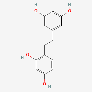 molecular formula C14H14O4 B10841331 2,4,3',5'-Tetrahydroxybibenzyl 