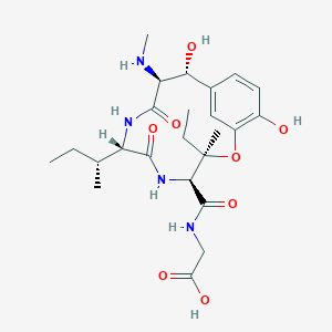 molecular formula C24H36N4O8 B10845321 6-Ile-ustiloxin 