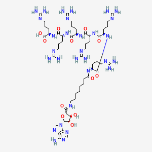 AdoC(Aoc)Arg6