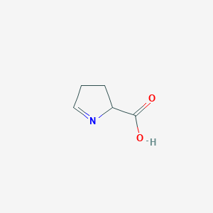 molecular formula C5H7NO2 B108470 3,4-二氢-2H-吡咯-2-羧酸 CAS No. 2906-39-0