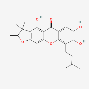 molecular formula C23H24O6 B10847855 cudraxanthone M 