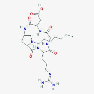 molecular formula C24H42N8O6 B10847979 2-[10-[3-(Diaminomethylideneamino)propyl]-14-heptyl-3,6,9,12-tetraoxo-2,5,8,11,14-pentazabicyclo[11.2.1]hexadecan-4-yl]acetic acid 