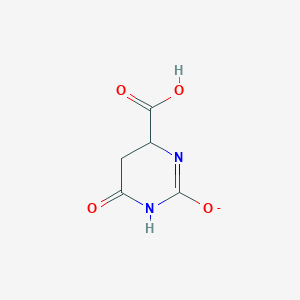 molecular formula C5H5N2O4- B10848573 4-carboxy-6-oxo-4,5-dihydro-1H-pyrimidin-2-olate 