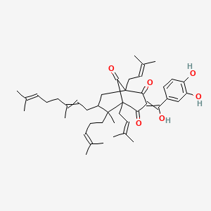 molecular formula C43H58O6 B10849057 3-[(3,4-Dihydroxyphenyl)-hydroxymethylidene]-7-(3,7-dimethylocta-2,6-dienyl)-6-methyl-1,5-bis(3-methylbut-2-enyl)-6-(4-methylpent-3-enyl)bicyclo[3.3.1]nonane-2,4,9-trione 