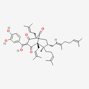 (1R,5S,6R,7S)-3-[(3,4-dihydroxyphenyl)-hydroxymethylidene]-7-[(2E)-3,7-dimethylocta-2,6-dienyl]-6-methyl-1,5-bis(3-methylbut-2-enyl)-6-(4-methylpent-3-enyl)bicyclo[3.3.1]nonane-2,4,9-trione