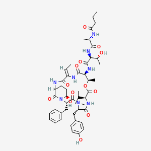 molecular formula C48H66N8O13 B10850509 Molassamide 