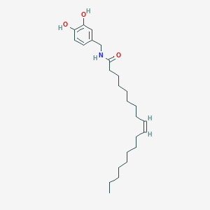 molecular formula C25H41NO3 B10850913 N-(3,4-dihydroxybenzyl)oleamide 