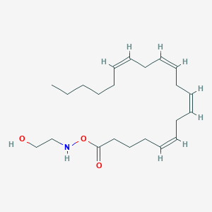 O-arachidonoyl-N-(2-hydroxyethyl)hydroxylamine