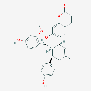 Palodesangren C