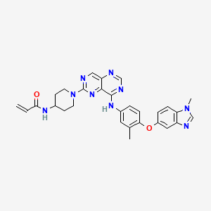 Zongertinib