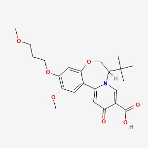 Gst-HG131