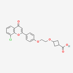 trans-ccc_R08