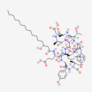 molecular formula C72H110N12O20 B10860658 (4S)-5-[[(2R)-5-amino-1-[[(4S,7R,10S,13S,19R,22S,25R,28S)-10-(3-amino-3-oxopropyl)-4-[(2S)-butan-2-yl]-22-(2-carboxyethyl)-25-[(1R)-1-hydroxyethyl]-7-[(4-hydroxyphenyl)methyl]-19-methyl-3,6,9,12,18,21,24,27-octaoxo-2-oxa-5,8,11,17,20,23,26-heptazatricyclo[28.2.2.013,17]tetratriaconta-1(33),30(34),31-trien-28-yl]amino]-1-oxopentan-2-yl]amino]-4-[[(3R)-3-hydroxyhexadecanoyl]amino]-5-oxopentanoic acid 